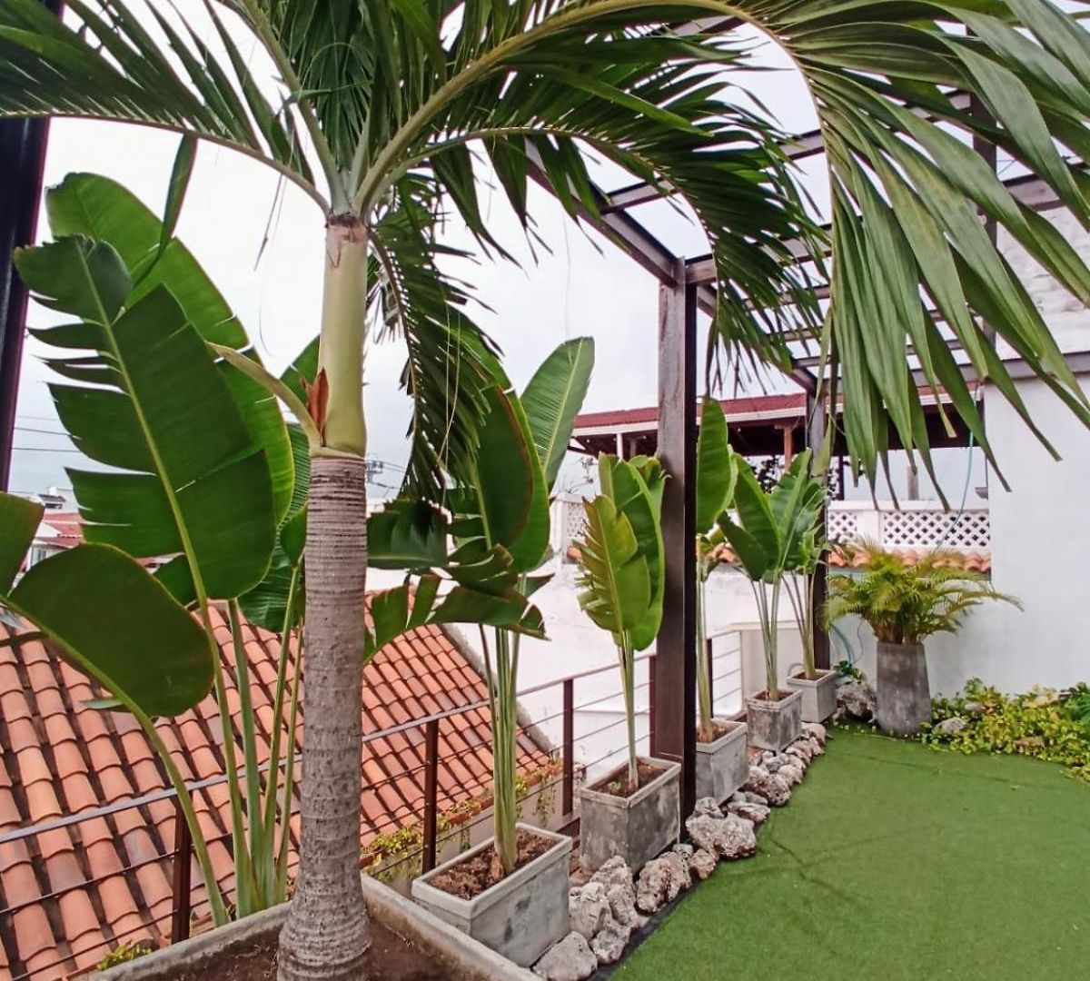 Casa Pacoa Cartagena