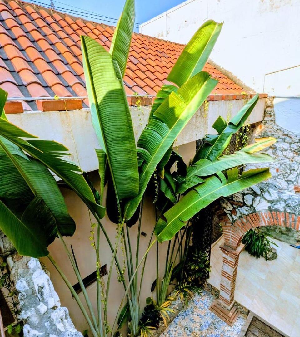 Casa Pacoa Cartagena