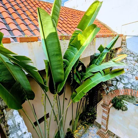 Casa Pacoa Cartagena
