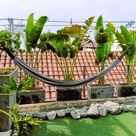 Casa Pacoa