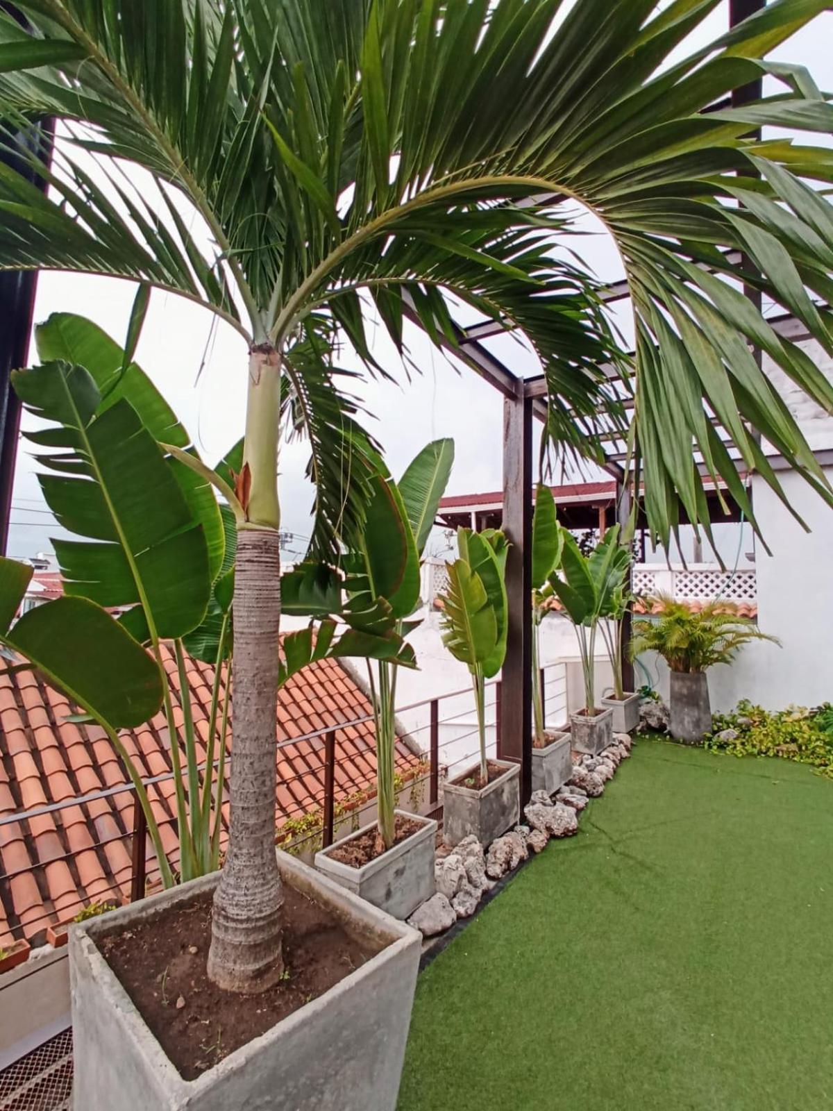 Casa Pacoa Cartagena